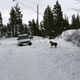 Image for article titled A Tesla Engineer's Jeep Ended Up Under 10 Feet of Snow for Months and It's Still There